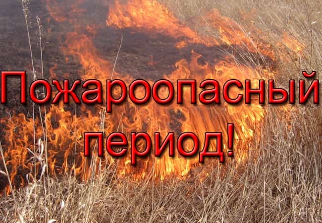 Обращение врио губернатора Курганской области Вадима Шумкова в связи с пожароопасным периодом