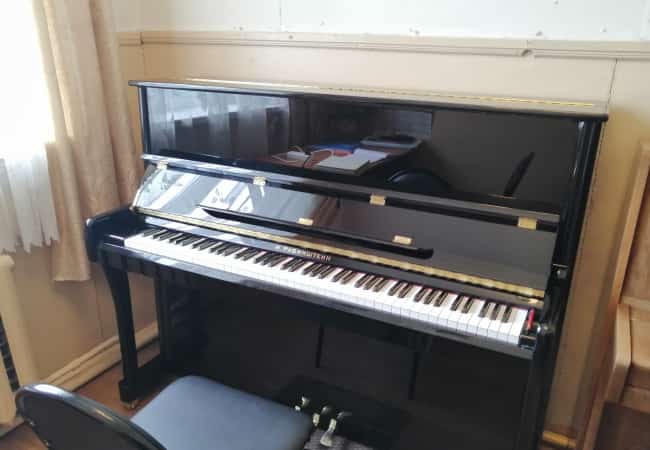 «Николай Рубинштейн» в музыкальных школах Кетовского района