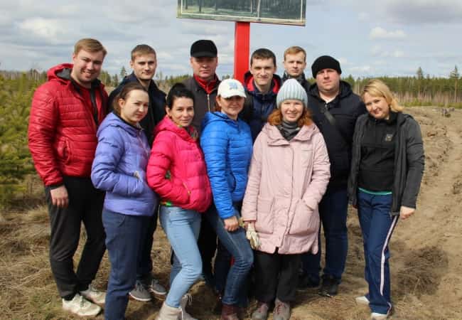 Посади елочку – спаси мир!