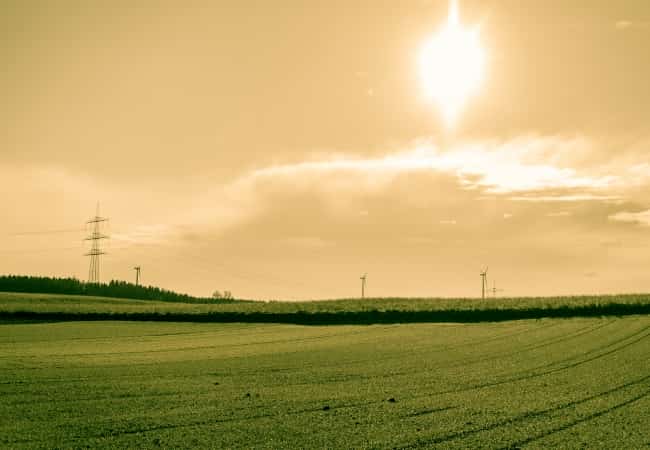 Свободные земли в Курганской области ждут своих новых хозяев