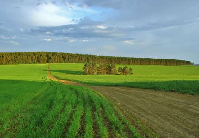 Курган приглашает! Будет весело и вкусно!