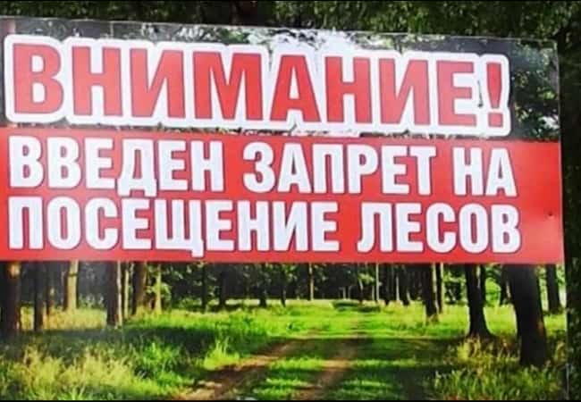 Запрет на посещение лесов