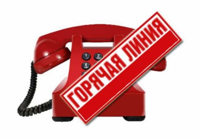 Горячая линия