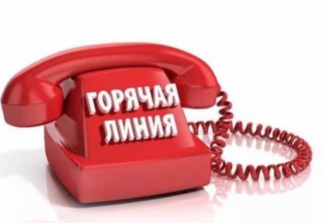 Горячая линия по вопросам предоставления пособий семьям, имеющим детей