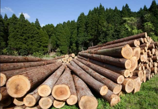 Информационное сообщение №46 (К) о продаже древесины