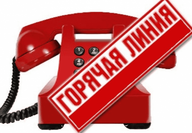 Горячая линия