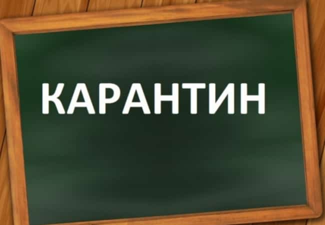 С 6 февраля в школах Кетовского района введен карантин