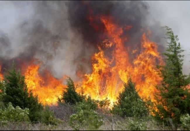 Предупреждение о чрезвычайной пожарной опасности (5-й класс горимости леса).