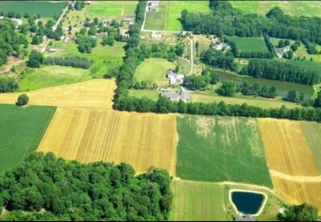 О проведении государственной кадастровой оценки всех категорий земель, расположенных на территории Курганской области