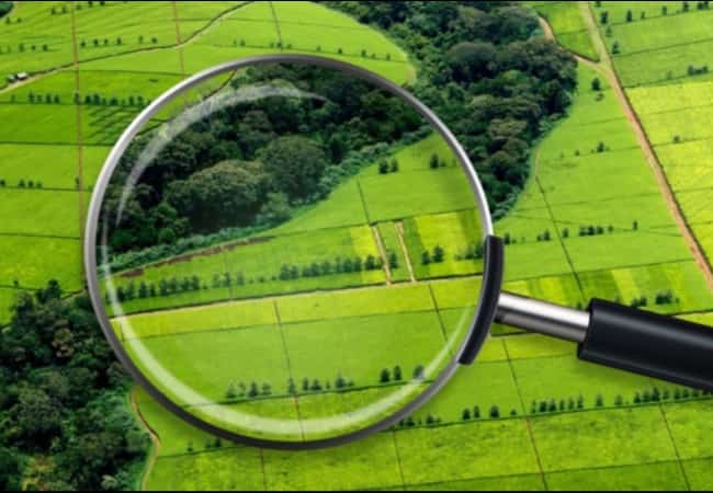 Муниципальный земельный контроль.  Как не стать нарушителем земельного законодательства?