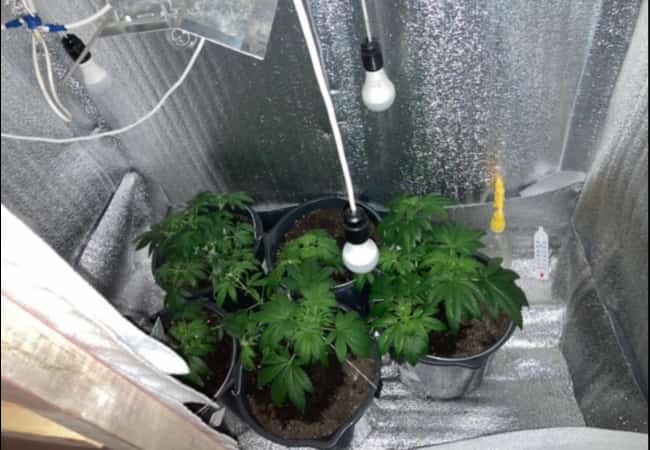 На территории области проходит антинаркотическая акция «Сообщи, где торгуют смертью!»