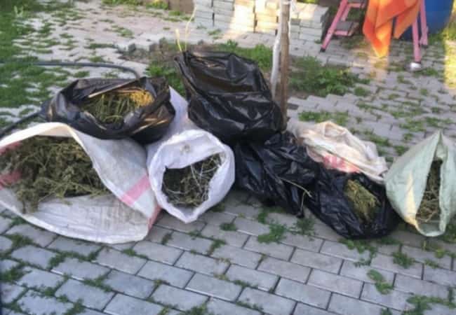 В Кетово оперативники задержали подозреваемого в незаконном хранении растительных наркотиков