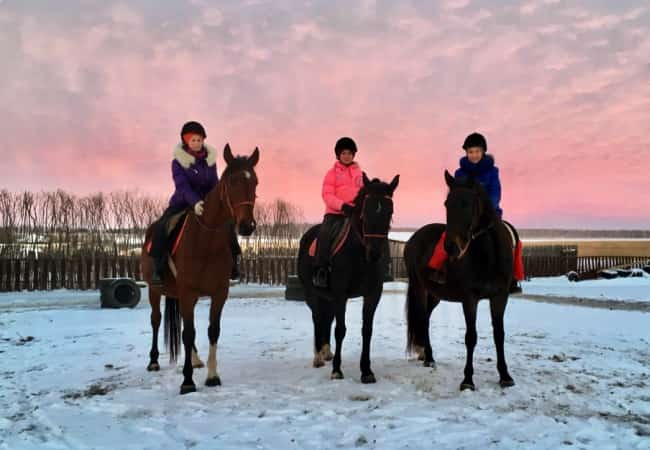 Лучшая программа села