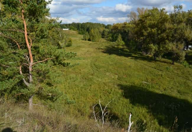 Развитие экономики – будущее Кетовского района