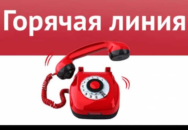 Актуальные вопросы, точные ответы