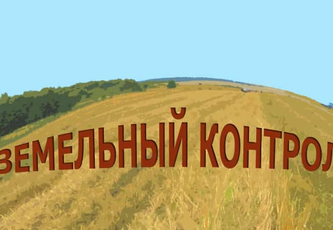 Осуществление муниципального земельного контроля