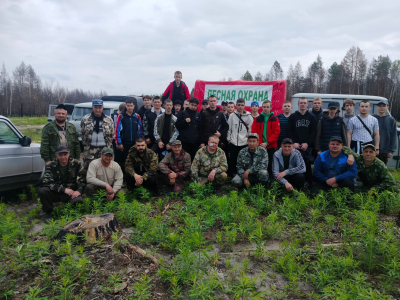 В микрорайонах Кургана восстанавливают городские леса