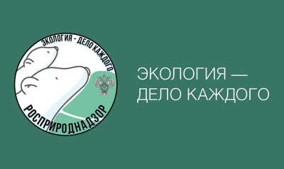 «Экология и устойчивое развитие: проекты, меняющие мир». Курганским старшеклассникам предлагают пройти обучающий курс