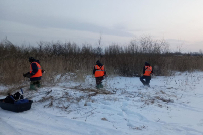 В рамках противопожарных мероприятий в Кургане окашивают сухую растительность и вывозят мусор