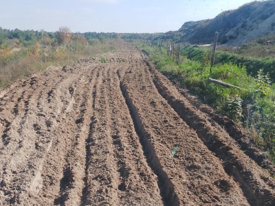 В Кургане продолжается создание и обновление минерализованных полос и ликвидация несанкционированных свалок