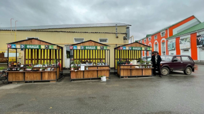 Продвижение продукции местного производства - залог здорового питания!