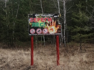 Патрулирование городских лесов усилено