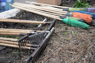 В Кургане стартует осенний месячник санитарной очистки территории города