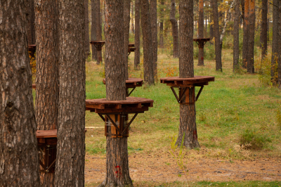 Экопарк продолжает радовать курганцев