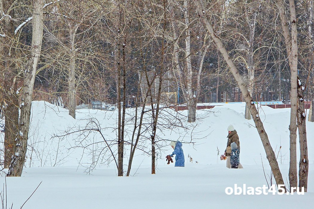 В Кургане возможен отмены занятий в школах из-за сильных морозов
