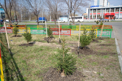 Аллея Памяти к 80-летию Победы