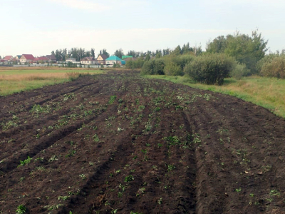 Опашка населённых пунктов – необходимая мера пожарной безопасности