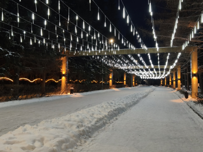 В этом году впервые в Центральном парке культуры и отдыха открылся каток