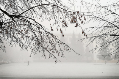 9 мая Курган стал единой концертной площадкой в честь 80-летия Победы в Великой Отечественной войне