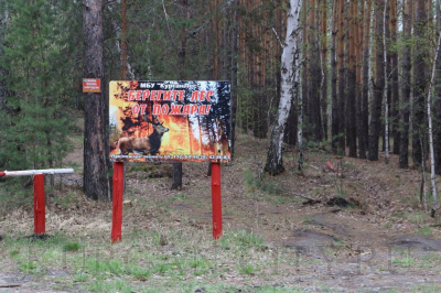 Запрет на посещение лесов продлен по 12 июня