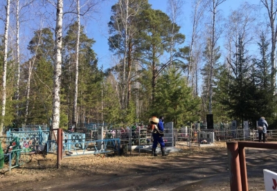 В Кургане продолжаются работы по акарицидной обработке кладбищ