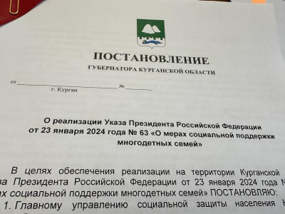 В Курганской области планируют ввести новые меры поддержки многодетных семей