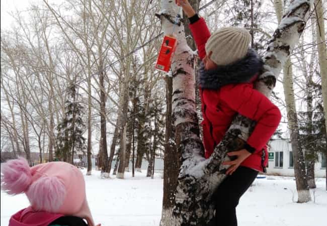 С наступлением зимы каждый год российские экологи призывают население помочь пернатым - мастерить и развешивать кормушки.