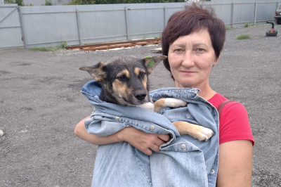 Собаки из муниципального приюта находят новых хозяев