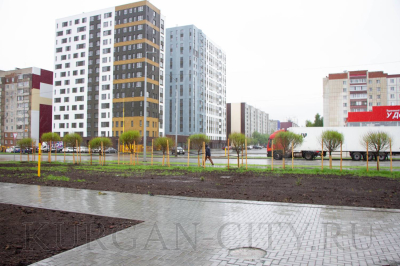 Временно исполняющий полномочия главы города Кургана проверил уборку города после праздников  и работы по строительству и реконструкции важнейших объектов