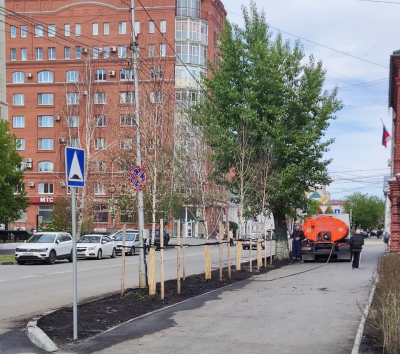 Городская Дирекция парков и скверов проводит работы по посеву газонов