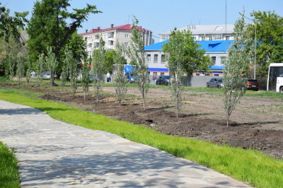 На новой благоустроенной территории вдоль реки Битевка около ЦПКиО высадили аллею пирамидальных тополей