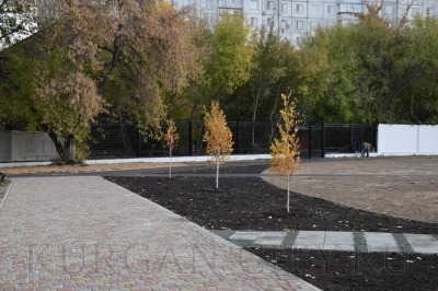 Курганцев приглашают принять участие в выборе названия новой благоустроенной территории