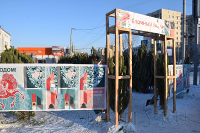 Елочные базары в Кургане должны отвечать необходимым требованиям