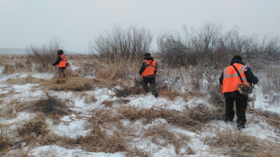 В Кургане ведутся работы по окосу камыша в рамках противопожарных мероприятий