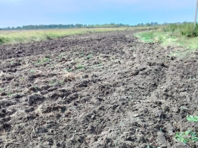 Профилактическая опашка как одна из мер в борьбе с огнём