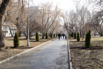 Парк Победы украсили туи