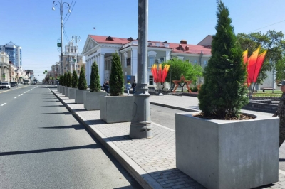 Улицы Кургана украсили туи