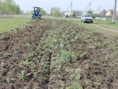 В Кургане продолжаются окосы камыша и опашка территорий