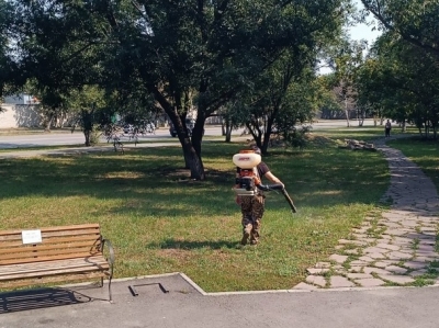 В Кургане обрабатывают от клещей городские территории