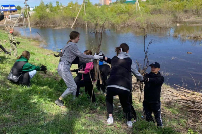 В Кургане продолжается общегородской субботник